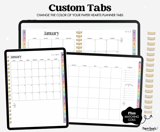 Summer Seashells All Colors Tabs
